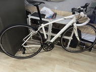 Specialized 公路車 51cm