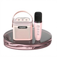 Karaoke Microphone Single Speaker Mini Handheld Stereo Sound Portable for Home Party Kids Adults
