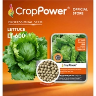 Hot Item🔥 (5,000 SEEDS) Biji Benih Sayur Salad Iceberg Gamma 佳码 LT600 CROP POWER Iceberg Lettuce See