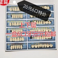 Dental Material Resin Teeth Oral Multi-Layer Color Synthetic Resin Teeth Hardness Resin Teeth Full M