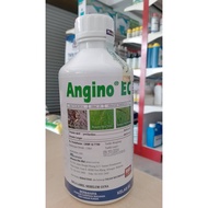 ADVANSIA ANGINO EC - 1L (serupa SOFIT)