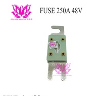 CNL 250A 48V DC Fuse For Forklift CNL Type Fuse