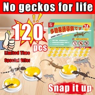 120 pcs/box HB Ubat cicak paling berkesan Racun cicak paling berkesan Cicak racun Racun cicak paling