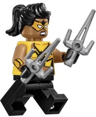 LEGO 70907 DC Killer Croc 人仔連配件
