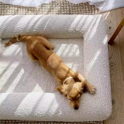 M Size Dog Memory Foam Bed Washable Dog Sofa Bed Removable Waterproof Dog Bed With Solid Pattern Car