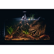 FOREST PALM LEAVES/SEASE LEAVES for aquarium decoration BLACKWATER - BIOTOPE