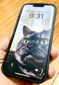 又…降價了⋯⋯iPhone 13 Pro Max 256G ，電池86%，95%新。目前仍使用中。