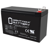 Mighty Max Battery 12V 9AH Battery Replacement for Generac XG8000E Portable Generators