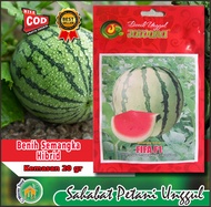 Benih Semangka Hibrid FIFA F1 20gr JAWARA – Daging Merah Manis Buah Besar 10-12kg – Kulit Tipis Coco
