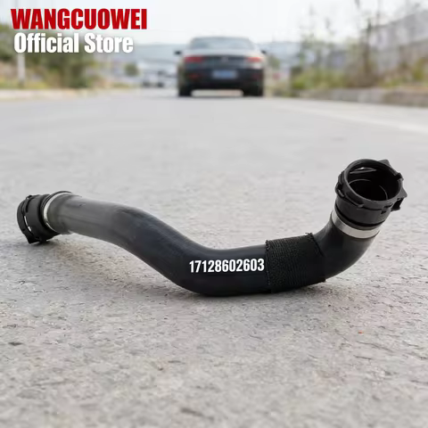Coolant Pipe Water Tank Downcomer Lower Radiator Hose 17128602603 for BMW G20 G28 G30 G38 B48 B58 En
