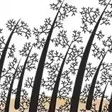 Hair Fibers Regrowth Powders Hair Building Fibers Hair Growth Products Cover Hairline Shadow Powder 