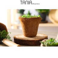 Tania All-In-One Microgreens Grow Kit 3s