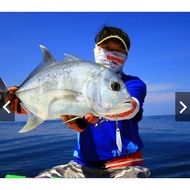 Storm gomoku keiryo baitcasting