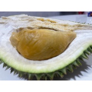 [FRESH] Durian Musang King/D24