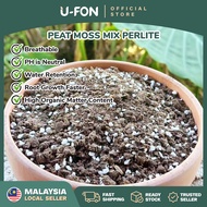 Peatmoss Mix Perlite Succulents Cactus Soil