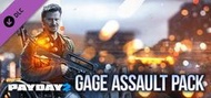 STEAM PAYDAY 2 : Gage Assault Pack DLC 劫薪日2 : 蓋奇突襲包