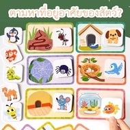 Matching Games Animal Habitat