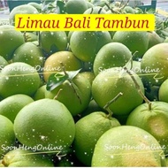 ✨Ready Stock✨Ipoh Limau Bali Tambun /Pomelo(Manis/Masam manis)打扪柚子