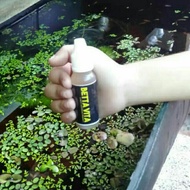 Betta vita untuk ikan laga, betta