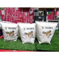 DOLOMITE REPTILE MAT