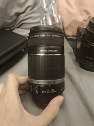 Canon EF-S 55-250mm f/4-5.6 IS 變焦鏡頭
