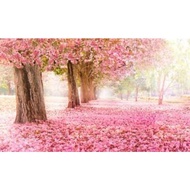 Decorative background images, decorative background images, shutterstock images, landscape images, w