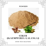 1KG Cekur Powder (Kaempferia Galanga) 100% Pure