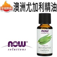 [30 毫升] 澳洲尤加利精油 純度100%