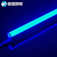 T5 Integrated Red Light Blue Light Green Light Yellow Light Pink Purple Light LED Tube Monochrome De