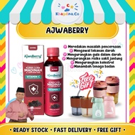 AJWABERRY By XPro Excel Pro Tok Abah Jus Botani tanpa gula jus untuk perut