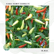 (10 Biji) Benih Bibit Biji - Cabai Rawit Zahra F1 Cabe Rawit Tegak Lebat Rasa Sangat Pedas Hibrida S