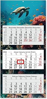 Timr 3-Month Calendar 2026 - Wall Calendar 3 Months with Slider - 70 cm Three-Month Calendar Multili