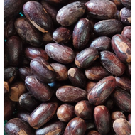 BIJI PALA POLO LONJONG UTUH DENGAN KULIT 100/250/500 GRAM