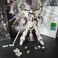 ETERNAL STAR GLORY MG 1/100