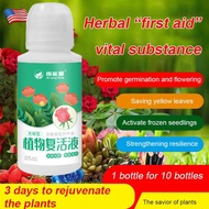 Concentrated Plant Resurrection Solution for Orchid Plant