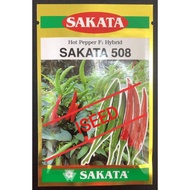 SAKATA CHILI API 508 5G Biji Benih Cili Padi Original Hot Pepper F1 Hybrid Cili Api Bird Eye