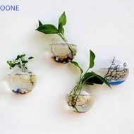 OONE Wall Mounted Vase, Plant Container Plants Holder Flower Pot, Creative 8/10/12/13/15cm Thickened