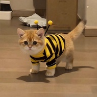 "Cute Cat Clothes, Anti-falling Design, Small Bee Beagle Dog, Small Size, Adorable Blue Cat, Spring 