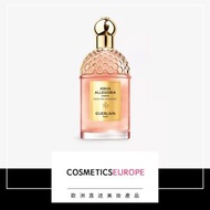 Guerlain - Aqua Allegoria Forte Rosa Palissandro 香水 125毫升 (平行進口)