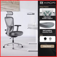 Hinomi Q1 Ergonomic Home Office Mesh Chair Ergochair With Adjustable Lumbar Support Headrest and Arm