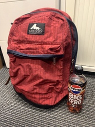 日本入男女啱用 Gregory backpack about 22 to 24L 返工背包返工背囊返學背包返學背囊旅行背囊旅行背包 office backpack travel backpack 登山