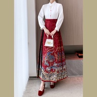 [HanFu]Hanfu Chinese Horse Face Skirt Ming Dynasty Woman Traditional Embroidered Skirt