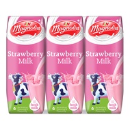 F&amp;N Magnolia UHT Packet Milk - Strawberry