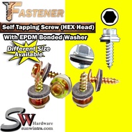 SW Hardware [BOX] Self Tapping Screw HEX Head Screw with Washer Zinc Screw Roofing Hex Screw TD-HW (