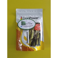 CROP-POWER-SEED WB 48 Winged Bean Big Four 200g/20g