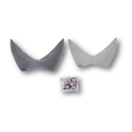 Z250 LIGHT GUARD HEAD LAMP PROTECTOR Z800 LIGHTGUARD Z250