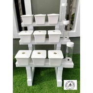 HLT cute tripple x.hydroponic