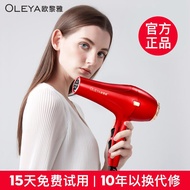 电吹风  吹风机吹风机家用大功率理发店发廊蓝光离子学生宿舍冷热风电吹风机筒 电吹风  吹风机