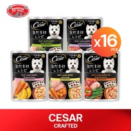 [16 PCS] CESAR CRAFT Wet Dog Food Sachet Type Caesar 60g