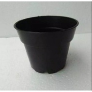 pot hitam plastik polos ukuran 15 perlusin - pot tanaman - pot bunga
